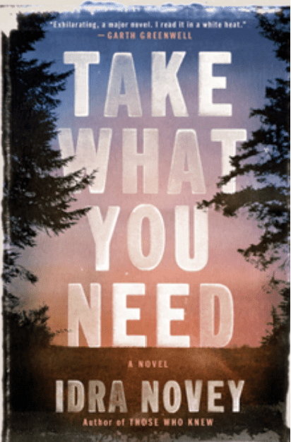 Take What You Need by Idra&nbsp;Novey