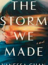 The Storm We Made by Vanessa&nbsp;Chan